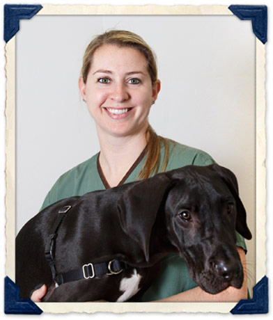 Burlingame, CA Veterinary Staff